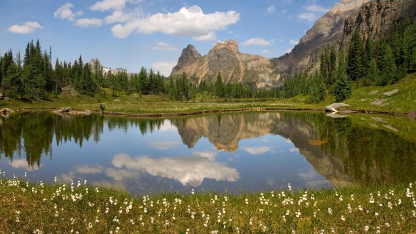 Альпийские Луга Швейцария