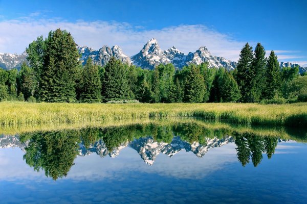 Национальный парк Wilderness