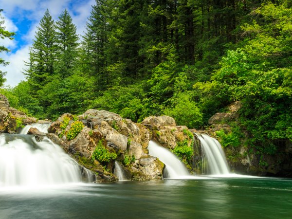 Природа лес водопад