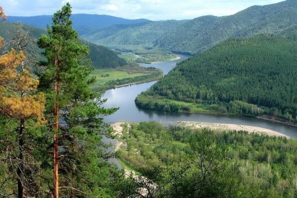 Фотографии леса Россия Дальний Восток