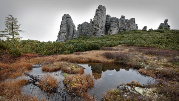 Ламский городок красный Чикой