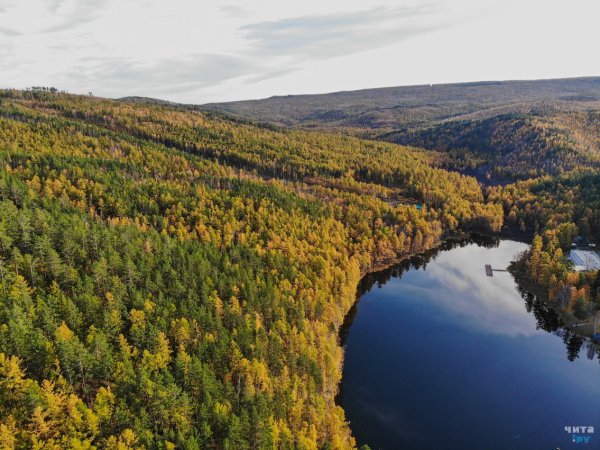 Тайга Забайкальского края