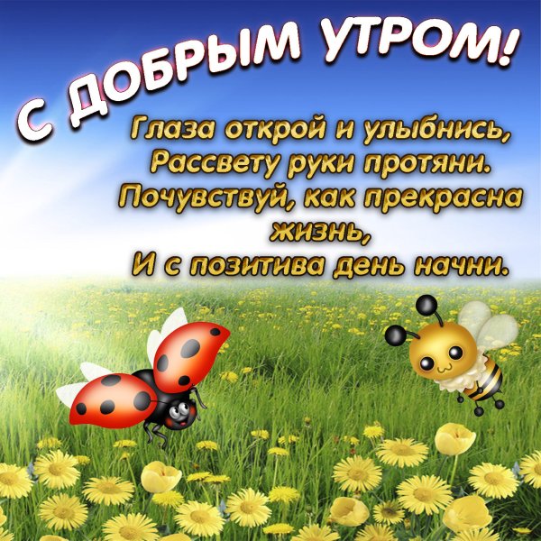 Картинки с добрым утром с природой и пожеланием