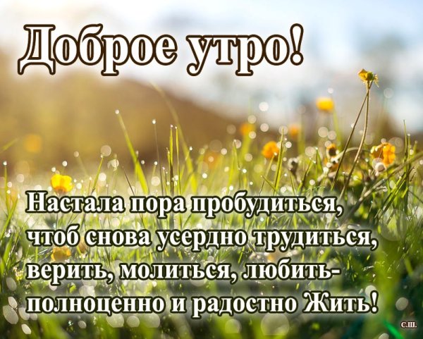 Доброго утра и хорошего дня березы