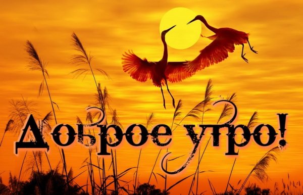 Доброе утро рассвет с надписью
