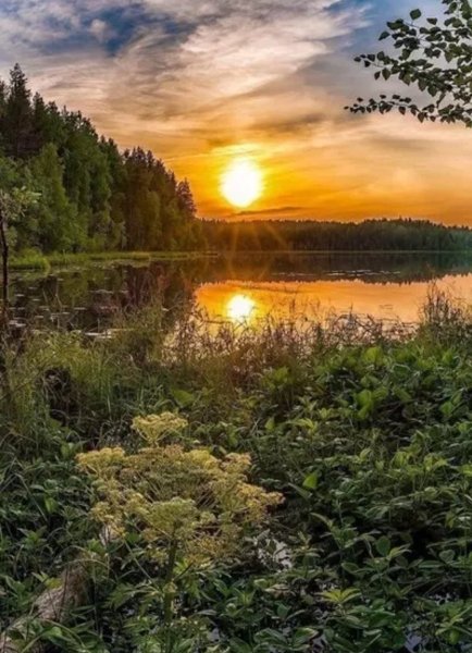 Природа России
