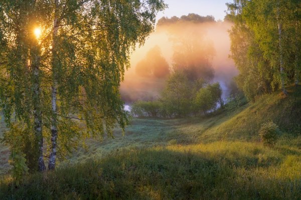 Речка цветы солнце