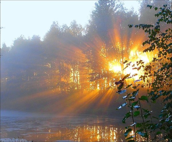 Яркая природа