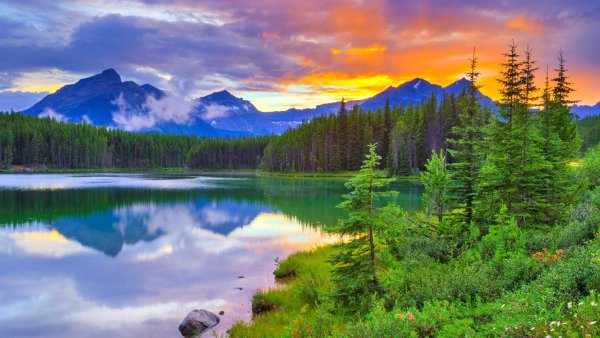 Красивая природа