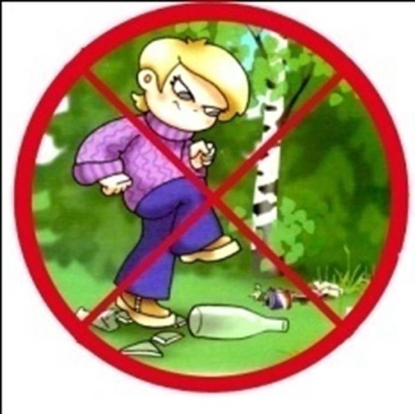 Запрещающие знаки поведения в лесу