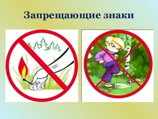 Запрещающие знаки леса