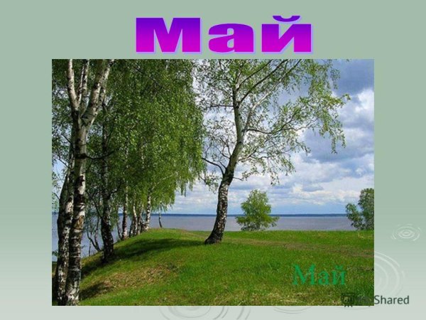 Май травень