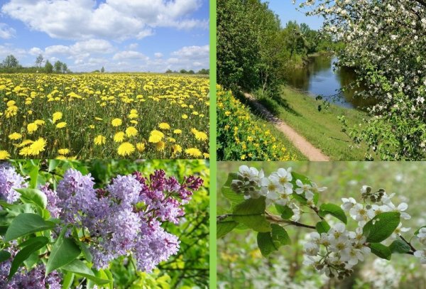 Первое мая природа