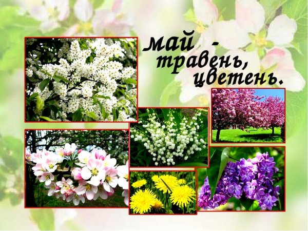 Солнечный день Весна