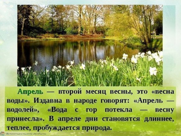Доброе утро природа с надписью