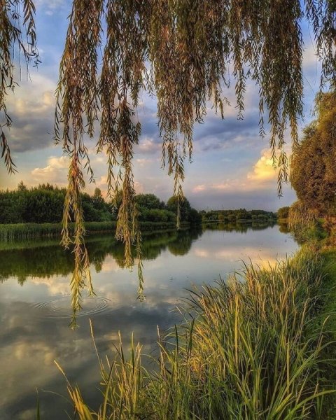 Весенняя гроза стих