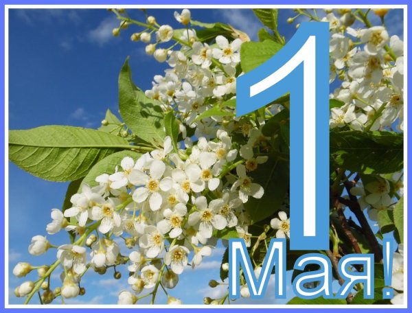 Хороших выходных