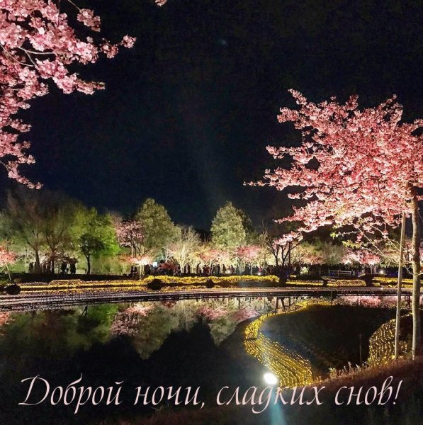 Спокойной ночи сладких снов природа