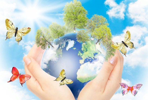 Природа на ладони