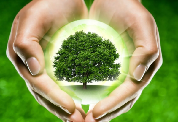 День земли экология