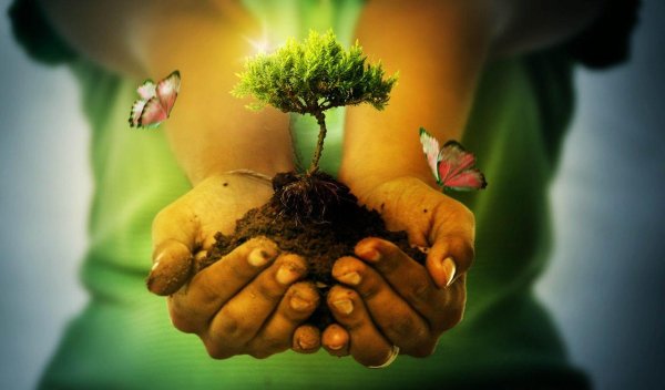 Наше будущее в наших руках