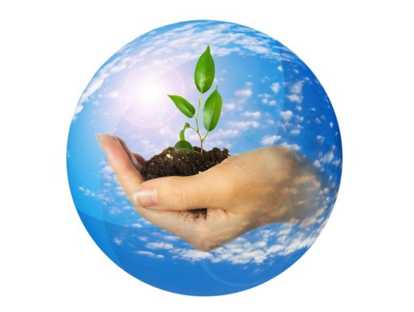 Рисунок на тему экология