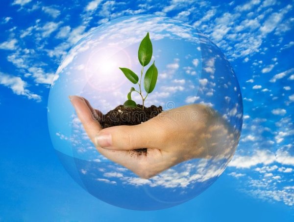 Сохраним планету вместе