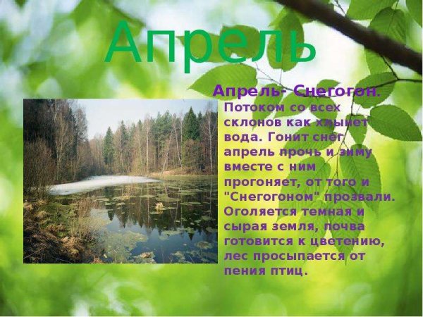 Апрель описание месяца