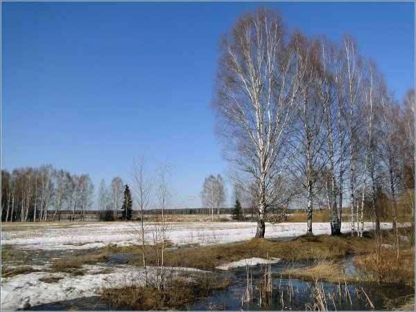 Весна апрель природа город