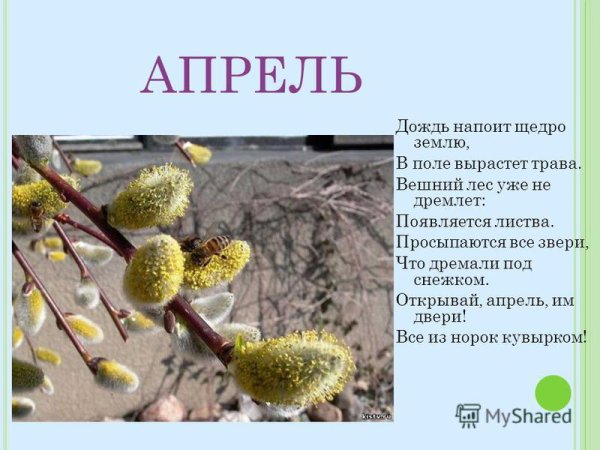 Презентация для детей апрель