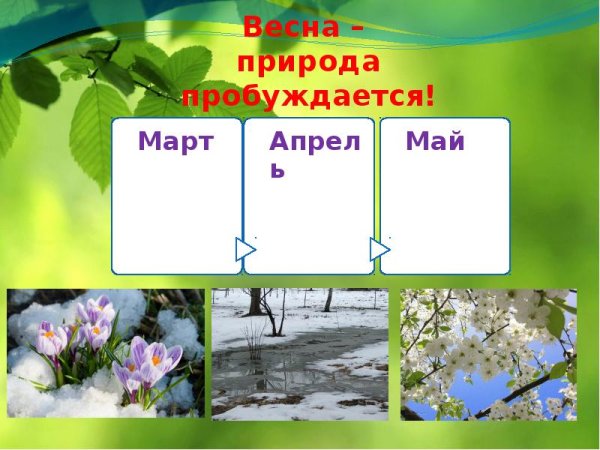 Весна идет презентация