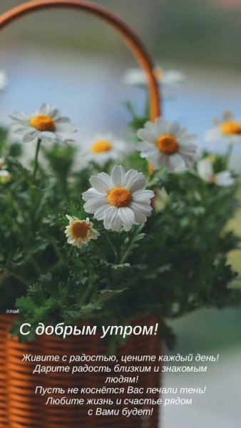 Красивые поздравления с добрым утром природа