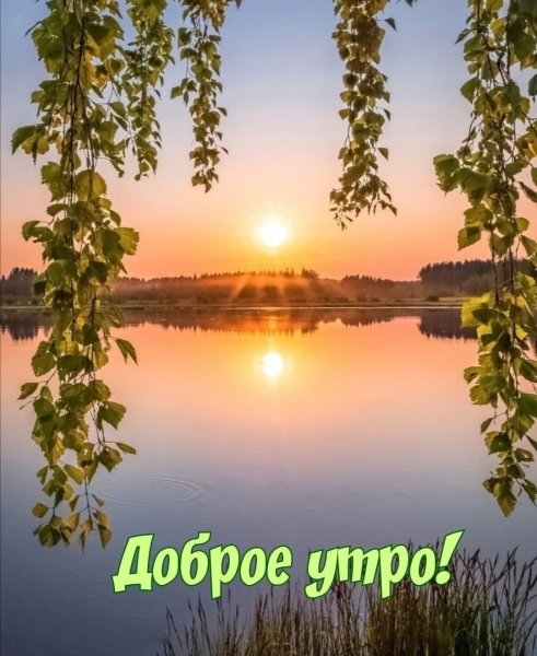 Доброго солнечного утра и чудесного дня