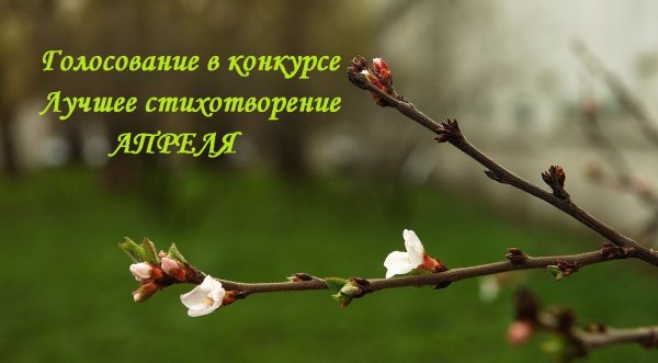 Апрель картинки природы с надписью