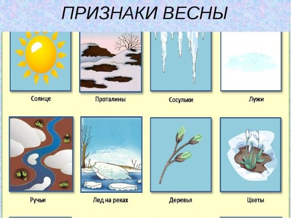 Признаки весны для детей