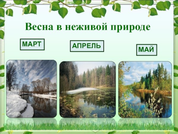 Весенние изменения в природе 2 класс