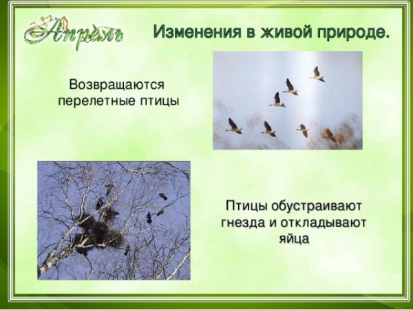 Приметы весны
