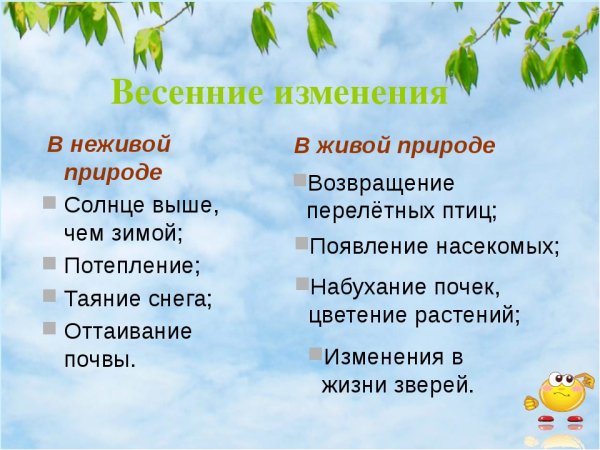 Весна сезонные изменения в природе
