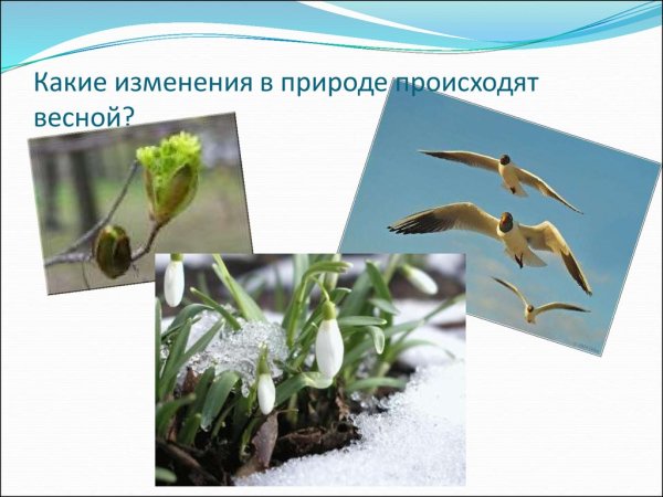 Весна презентация