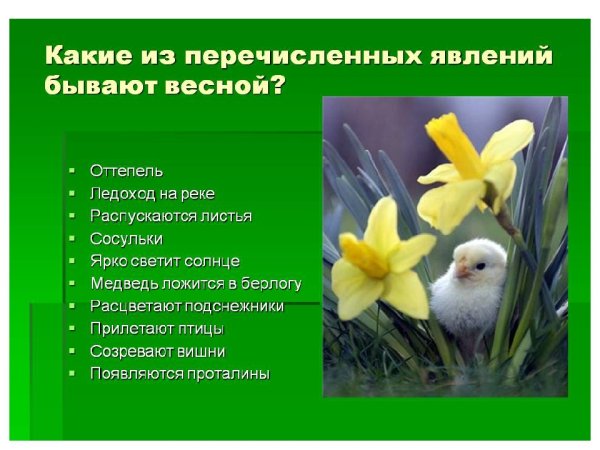 Живая природа весной