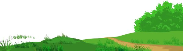 Лес для детей на прозрачном фоне