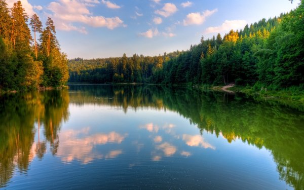 Летняя природа