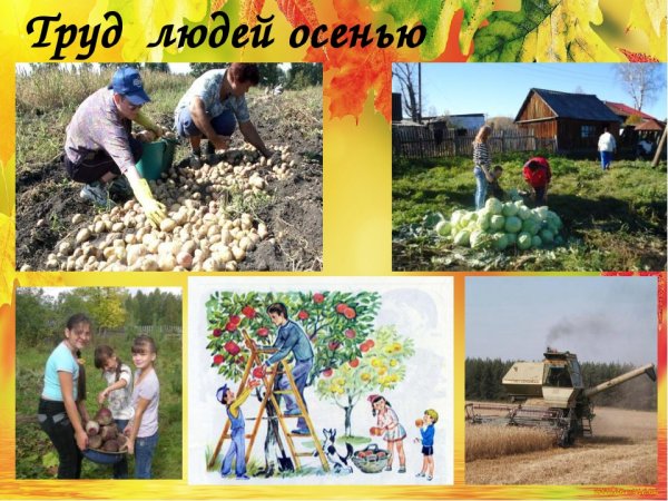 Занятия людей осенью