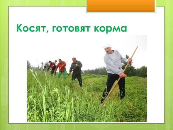 Презентация на тему труд людей летом