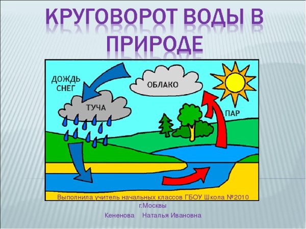 Круговорот еды в природе