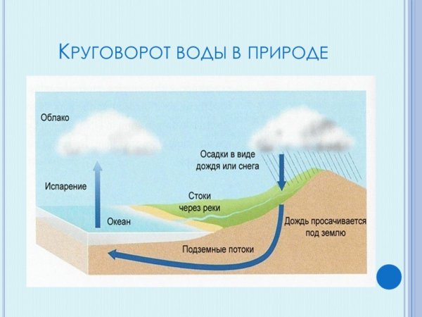 Круговорот воды в природе схема окружающий мир