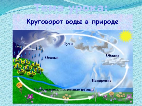 Водоворот воды в природе для детей