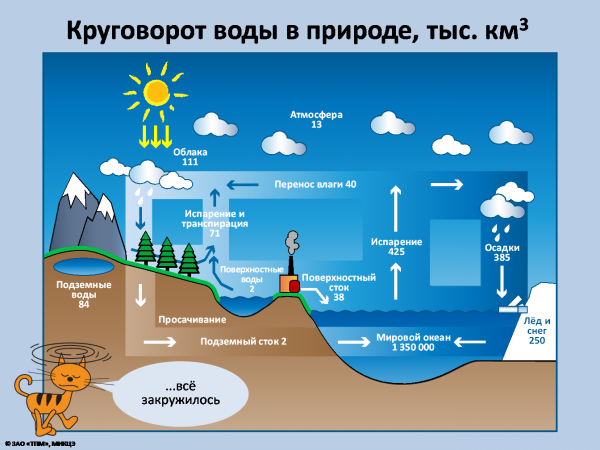 Интересные факты о круговороте воды в природе