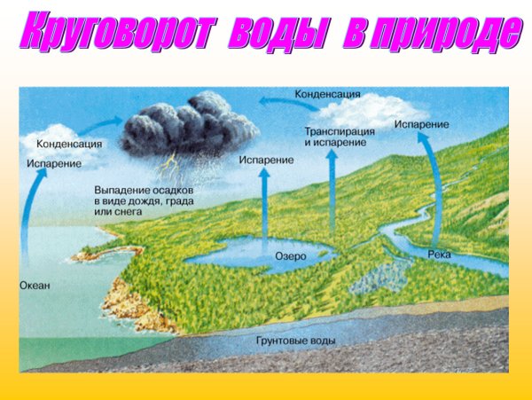 Круговорот воды в природе для детей дошкольников