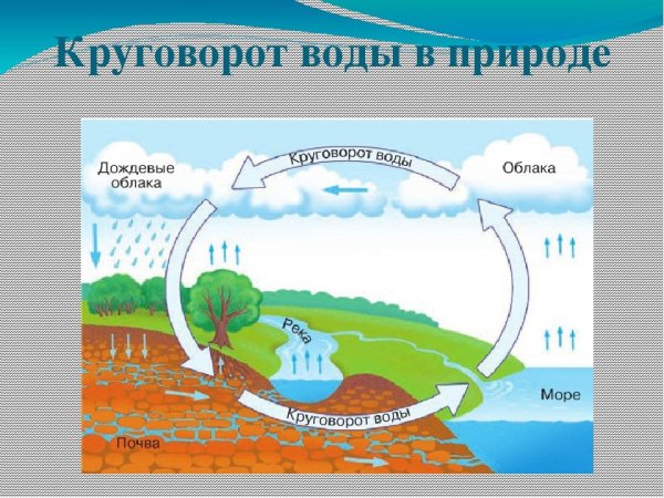 Круговорот воды в природе 7 класс география